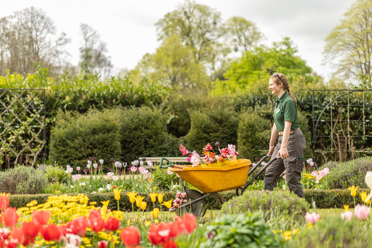 Dyrham Park tweet media