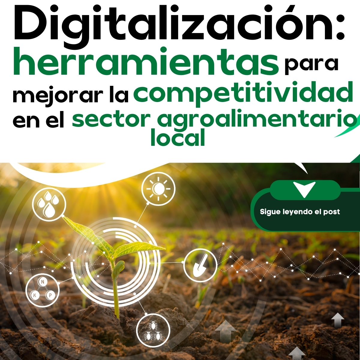 ¿Sabías que el networking es clave para el agro valenciano? 🌟 Conecta con empresas, accede a nuevas tecnologías y participa en proyectos sostenibles. 

El Clúster te ayuda a crecer y colaborar en una comunidad líder.

#NetworkingAgroalimentario #InnovaciónCV