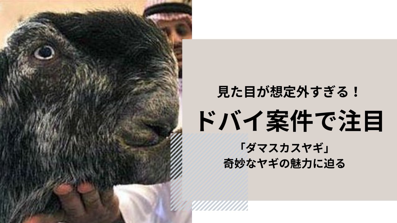 購入決定　ヤギ 1f32b7da1b76a3485017f6b5e4708a