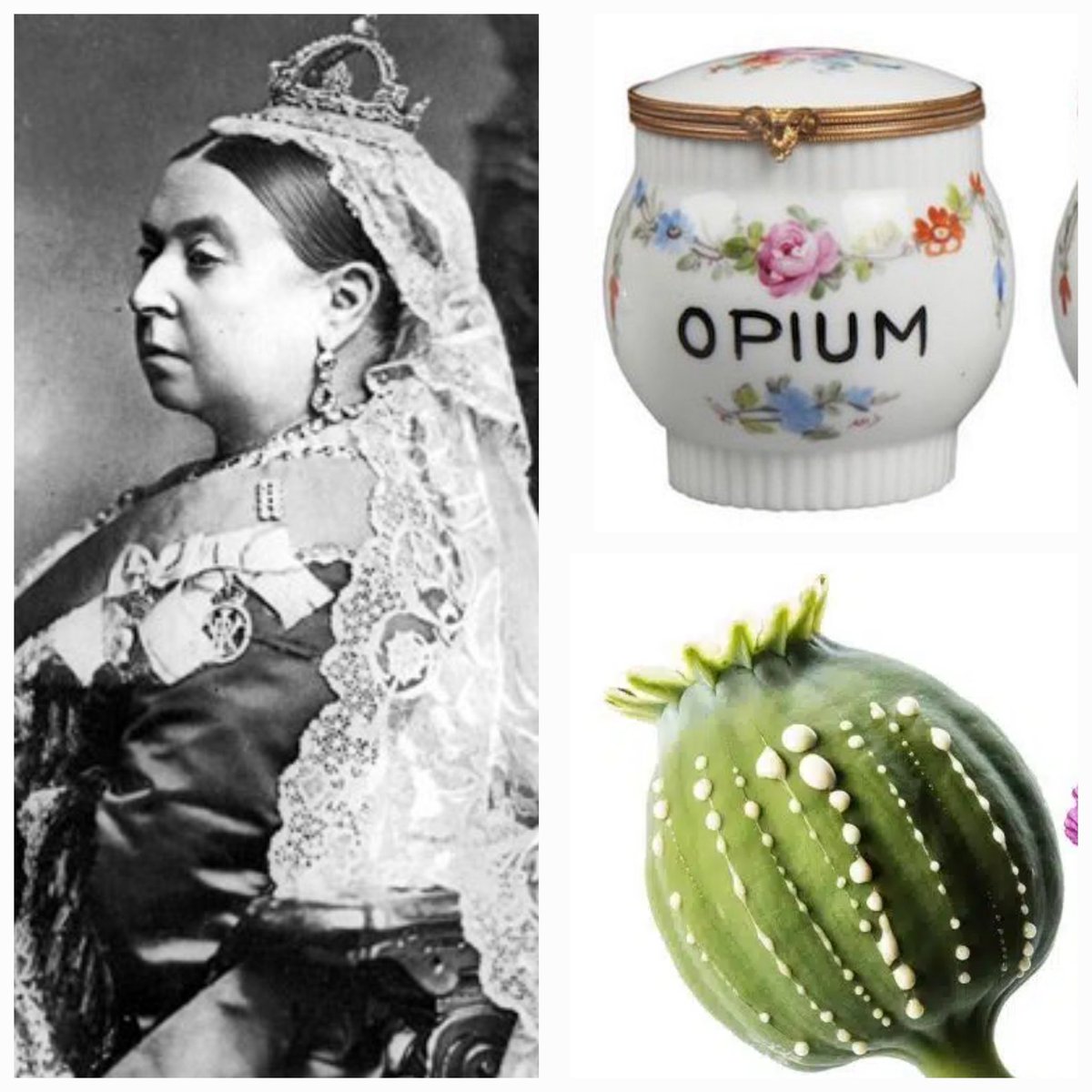 William Dalrymple (@dalrymplewill) on Twitter photo New from <a href="/EmpirePodUK/">Empire Podcast</a>
QUEEN VICTORIA & HER 20,000 CHESTS OF OPIUM
(And the little matter of her $10 million bill) New from <a href="/EmpirePodUK/">Empire Podcast</a>
QUEEN VICTORIA & HER 20,000 CHESTS OF OPIUM
(And the little matter of her $10 million bill)