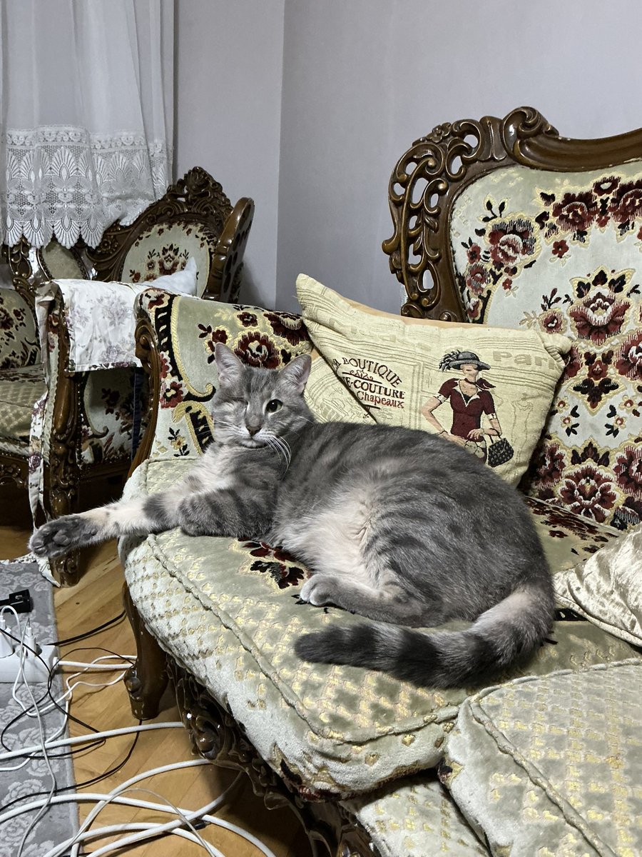 Bakmayın masum göründüme