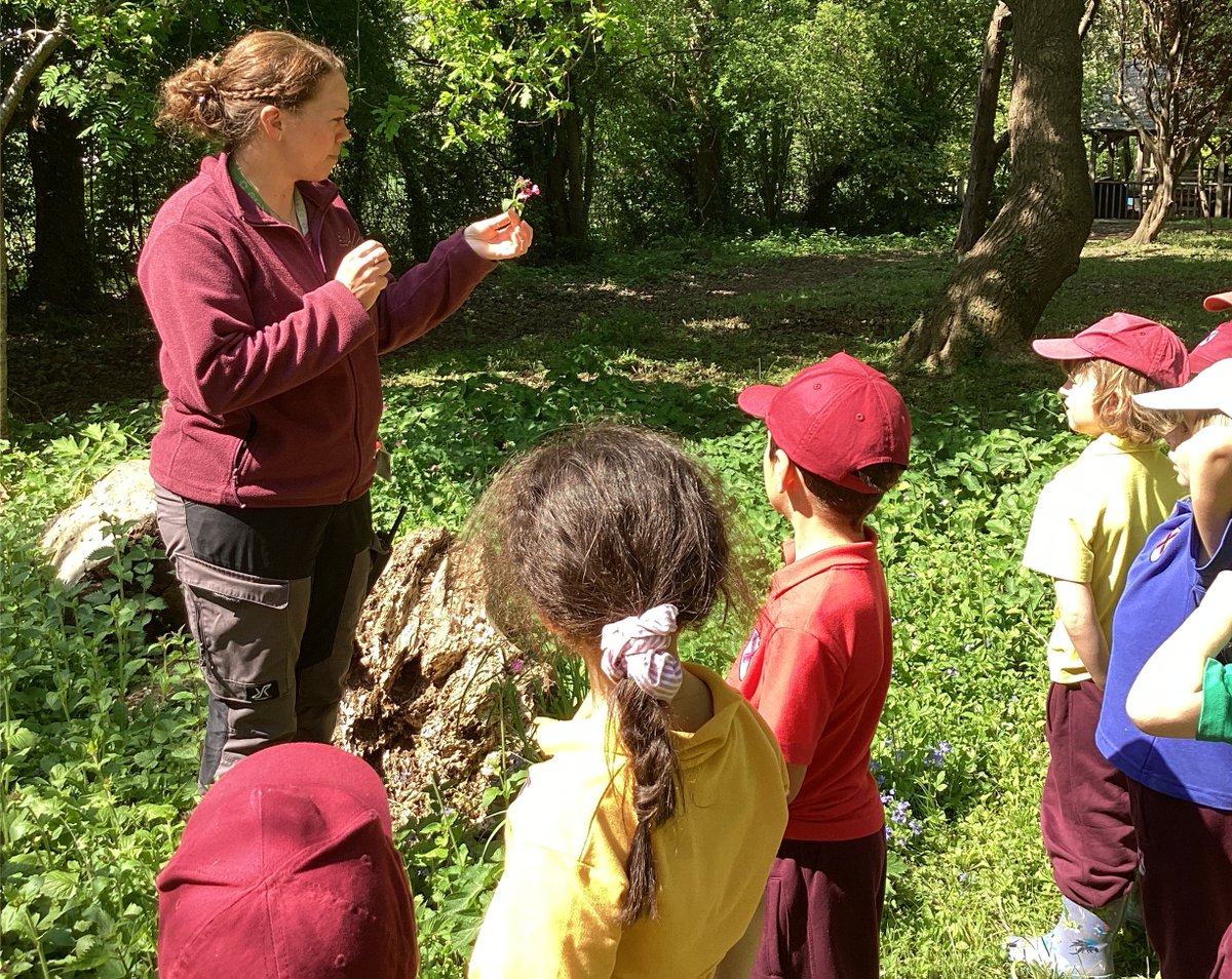 The children were full of excitement as they pulled on their wellies and explored the changing spring landscape in the Forest School. They loved spotting blossoming flowers, noticing greener leaves, and using their senses to explore nature.