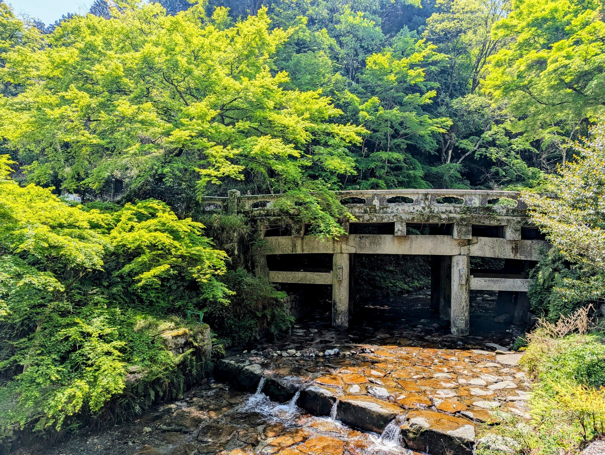 日吉(ひよし)大社と山王権現 | 嵯峨井 建 |本 | 通販 | Amazon