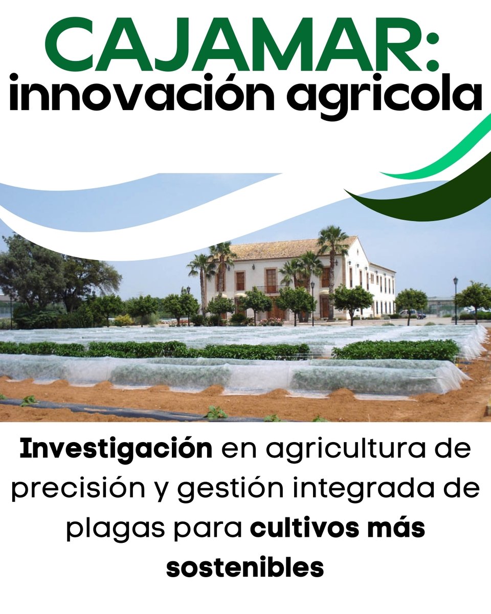 ¡Lleva tu empresa agroalimentaria al siguiente nivel! 🚀 El Clúster CV te ayuda a optimizar procesos, cumplir normativas, innovar con sostenibilidad y expandirte internacionalmente. 
Únete y destaca en el mercado.

Más info: cinnoagrocv.com

#CompetitividadEmpresarial
