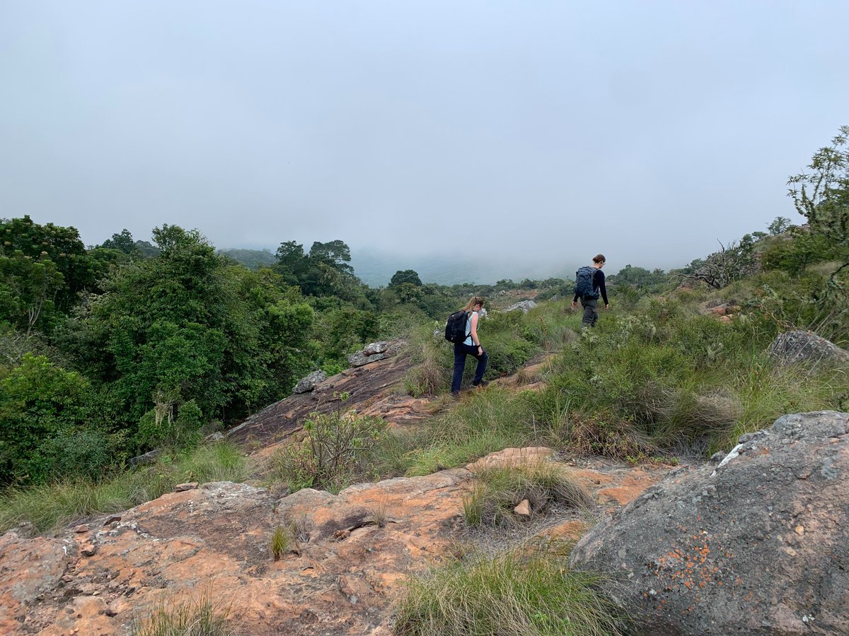 PrimatePredator's tweet image. Primate Predator Project have 30 permanent camera stations, across 12 properties in the Western Soutpansberg mountains.
Primate Predator Project are extremely grateful to all of the landowners that continue to support the project. Thank you to each and everyone of you.