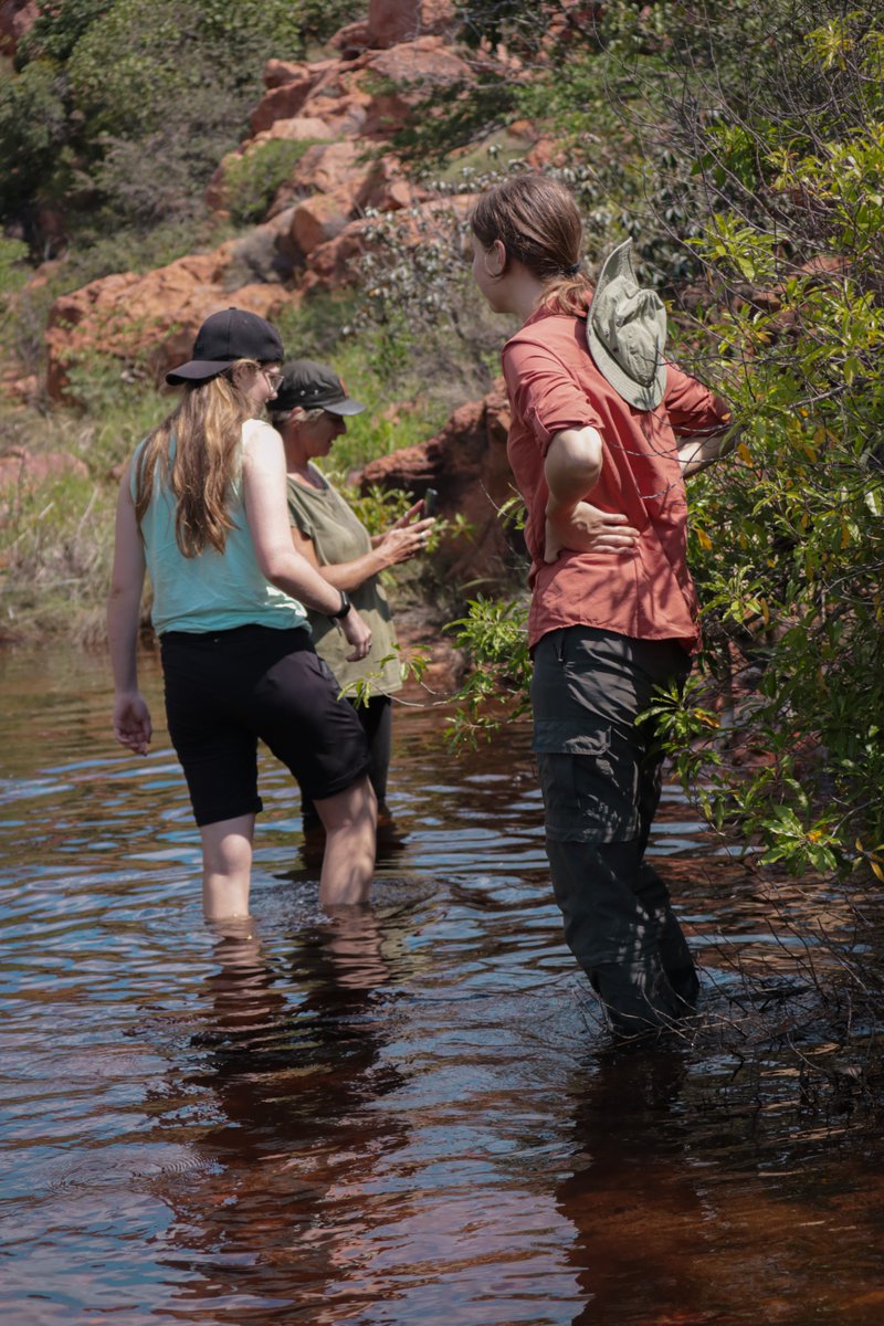 PrimatePredator's tweet image. Primate Predator Project have 30 permanent camera stations, across 12 properties in the Western Soutpansberg mountains.
Primate Predator Project are extremely grateful to all of the landowners that continue to support the project. Thank you to each and everyone of you.