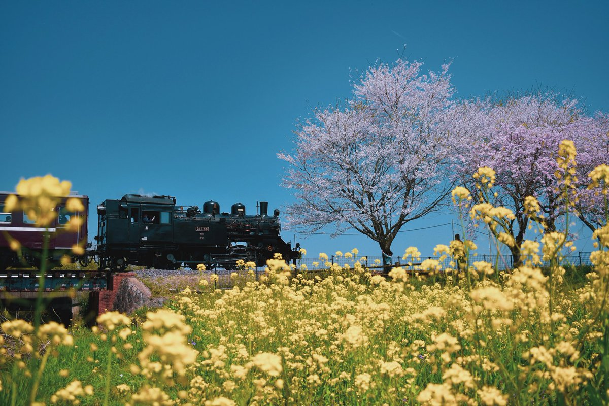 taIahaci's tweet photo. 春の芳賀路 https://t.co/SFzVgWUdGb