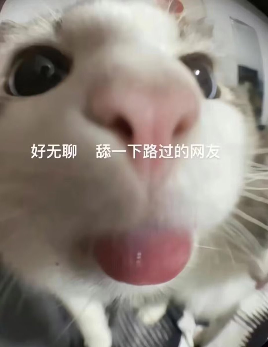 媒体预览