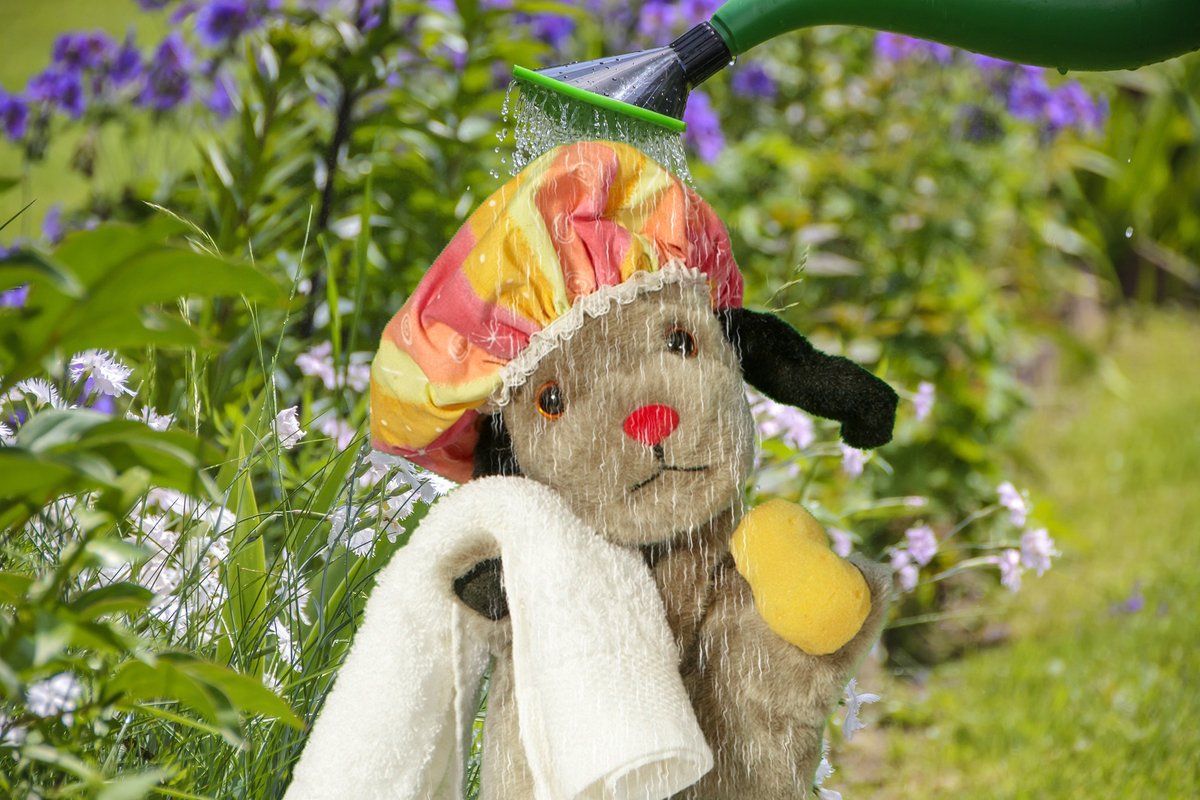 Sweep shows off his new drip...