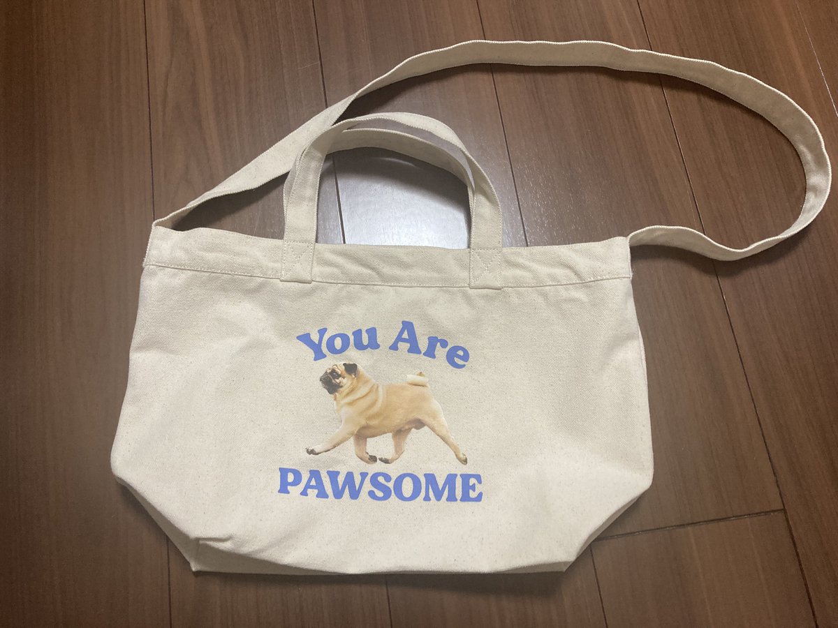 グローバルワークでパグTシャツを、プラザでパグバッグを見つけた！
パググッズ豊作☺️🐶
