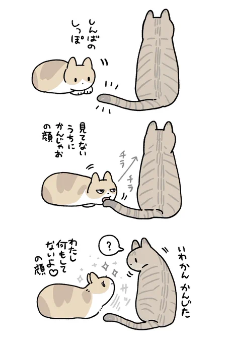 手書き絵日記まとめ 〜みたらし編・その1〜
みたらし子猫期の絵日記も混ざっています🌱
[1/6] 