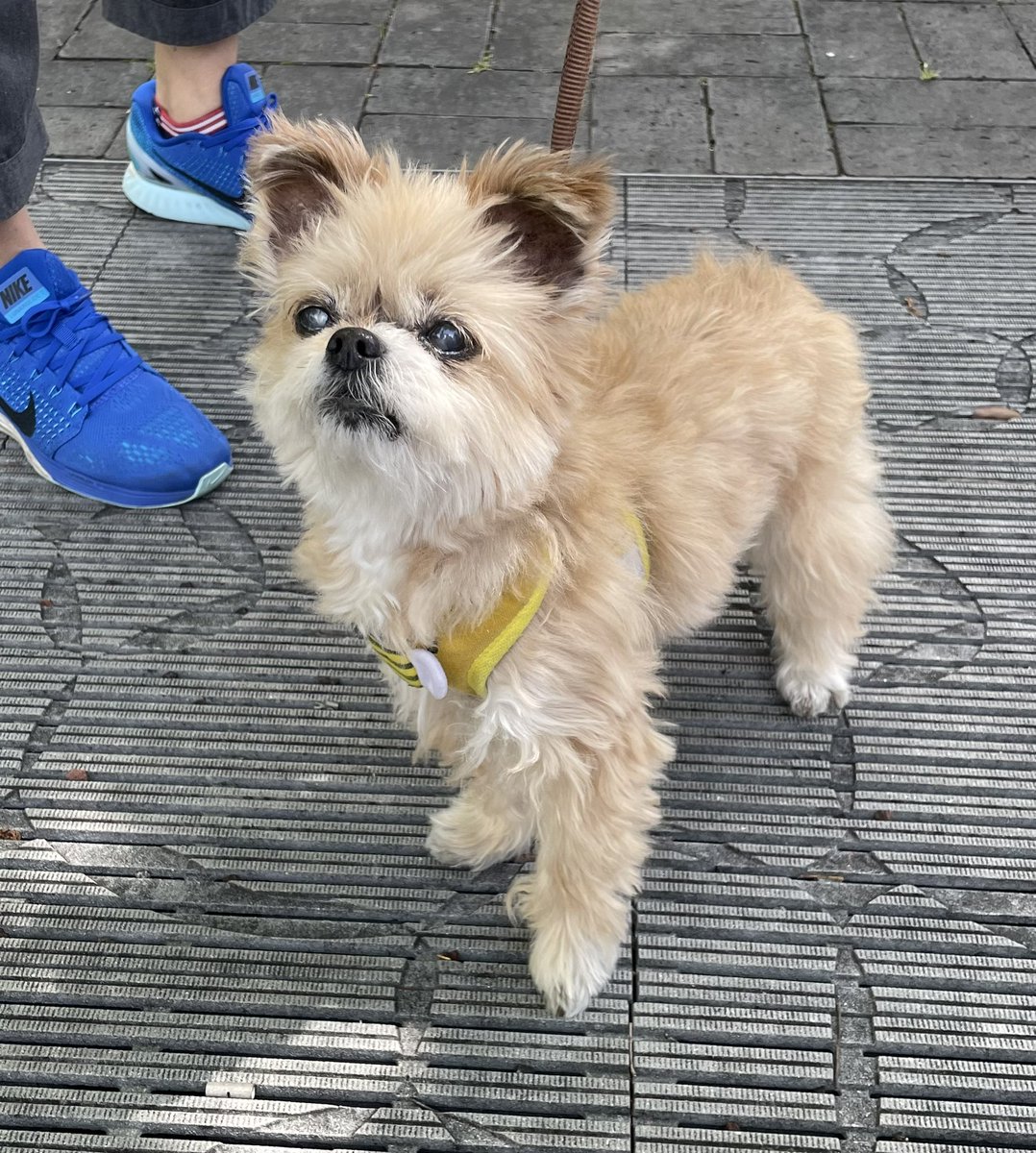 今年もタビーちゃんのお写真が撮れて､とても嬉しかったです！！！相変わらず可愛くてお元気で､親戚のおじさんみたいな気持ち…👍