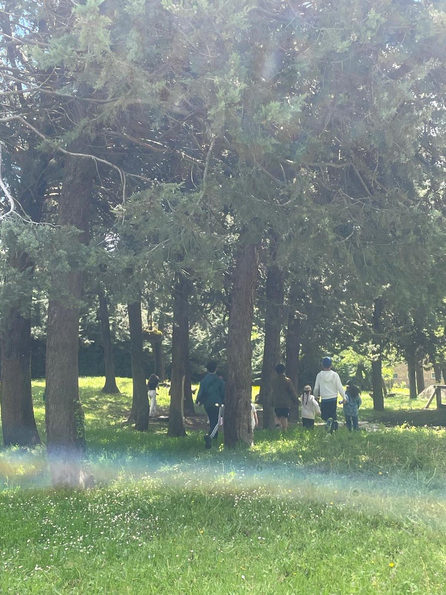 EvaShbst tweet media