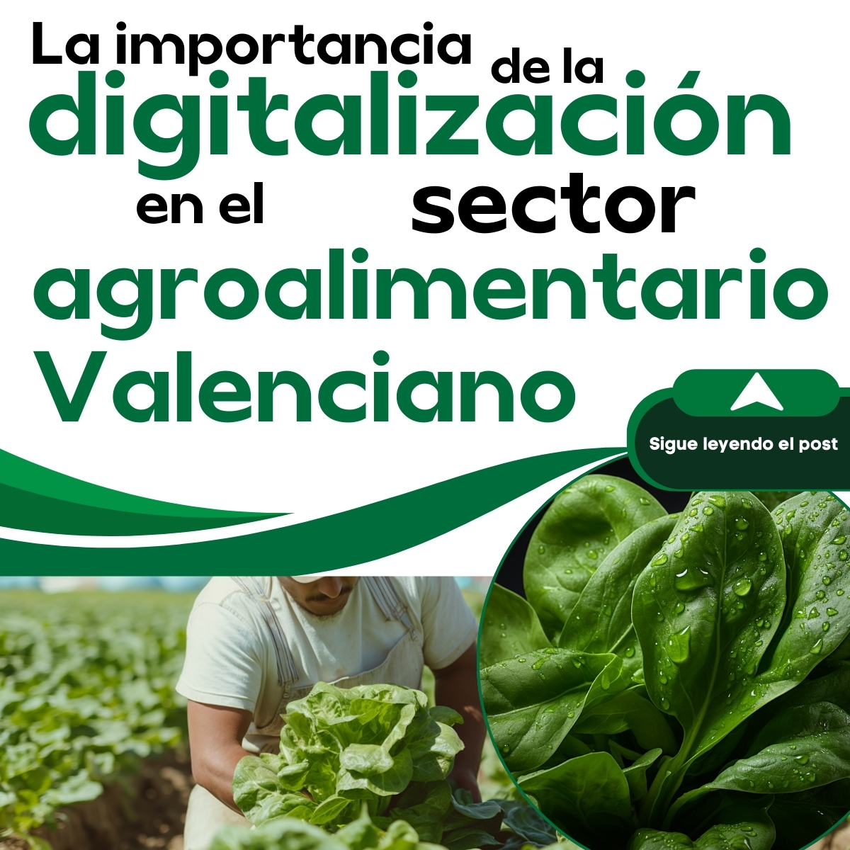 La digitalización impulsa la competitividad y sostenibilidad del agro valenciano: cuaderno digital, trazabilidad y análisis de datos. El Kit Digital amplía ayudas hasta oct 2025. 

Moderniza tu negocio con el Clúster.

#DigitalizaciónAgroalimentaria