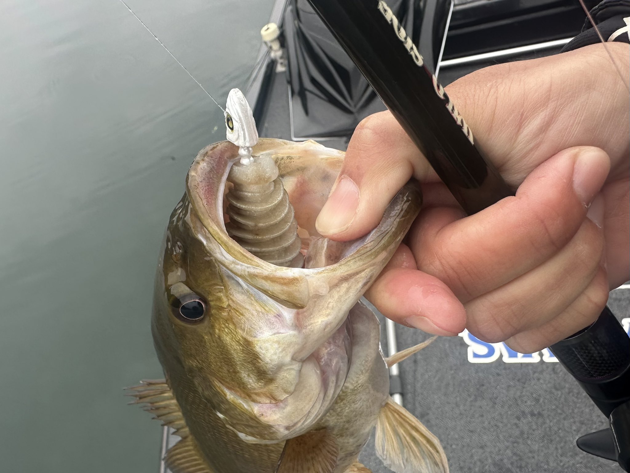 Nishine Lure Works (@Beatour27) / X