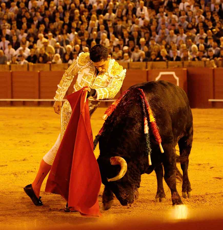 SEVILLA TAURINA (@sevillataurina) on Twitter photo CRÓNICA ST.- Morante vuelve a emocionar (sevillataurina.com/2025/05/05/385…) <a href="/sevillataurina/">SEVILLA TAURINA</a> <a href="/ManoloVieraN/">Manolo Viera</a> <a href="/Toromedia12/">Toromedia</a> <a href="/isanchezmejias/">Ignacio Sánchez-Mejías</a> <a href="/maestranzapages/">La Maestranza-Pagés</a> <a href="/UTAMAESTRANZA/">Unión Taurina de Abonados y Aficionados de Sevilla</a> <a href="/carruseltaurino/">carrusel taurino</a> <a href="/Moranteinfo/">Morante de la Puebla</a> CRÓNICA ST.- Morante vuelve a emocionar (sevillataurina.com/2025/05/05/385…) <a href="/sevillataurina/">SEVILLA TAURINA</a> <a href="/ManoloVieraN/">Manolo Viera</a> <a href="/Toromedia12/">Toromedia</a> <a href="/isanchezmejias/">Ignacio Sánchez-Mejías</a> <a href="/maestranzapages/">La Maestranza-Pagés</a> <a href="/UTAMAESTRANZA/">Unión Taurina de Abonados y Aficionados de Sevilla</a> <a href="/carruseltaurino/">carrusel taurino</a> <a href="/Moranteinfo/">Morante de la Puebla</a>