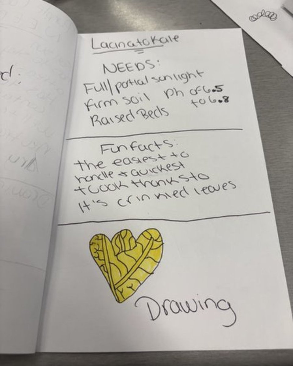 🌱 Seed packets = tiny instruction manuals.
Our Arlington Dream Alive students dug into the details by reading the back of their seed packets, choosing three plants to grow at home, and creating personalized care guides. Learning to read, plant, and nurture all at once!