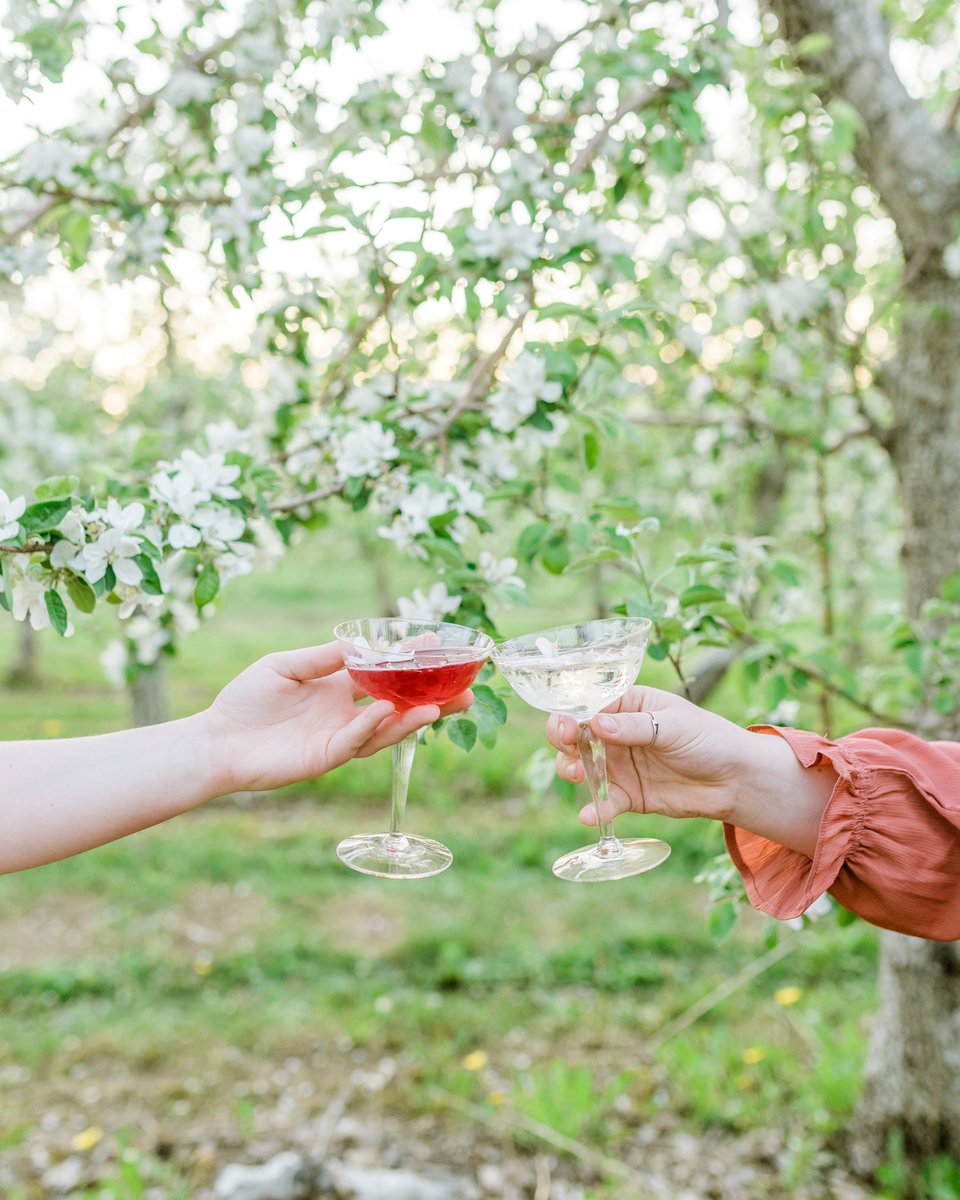 AlimentsNB's tweet image. Les arbres sont en fleurs. À l’approche de l’été, les producteurs de pommes se préparent en vue d’une bonne saison. C’est une période chargée, mais c’est aussi le moment idéal pour apprécier la beauté des vergers locaux. 🍏🌸