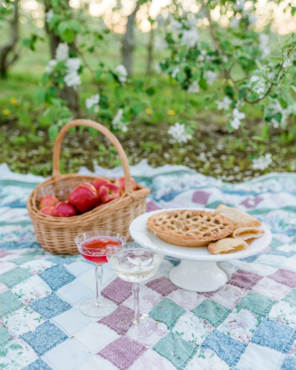 AlimentsNB's tweet image. Les arbres sont en fleurs. À l’approche de l’été, les producteurs de pommes se préparent en vue d’une bonne saison. C’est une période chargée, mais c’est aussi le moment idéal pour apprécier la beauté des vergers locaux. 🍏🌸
