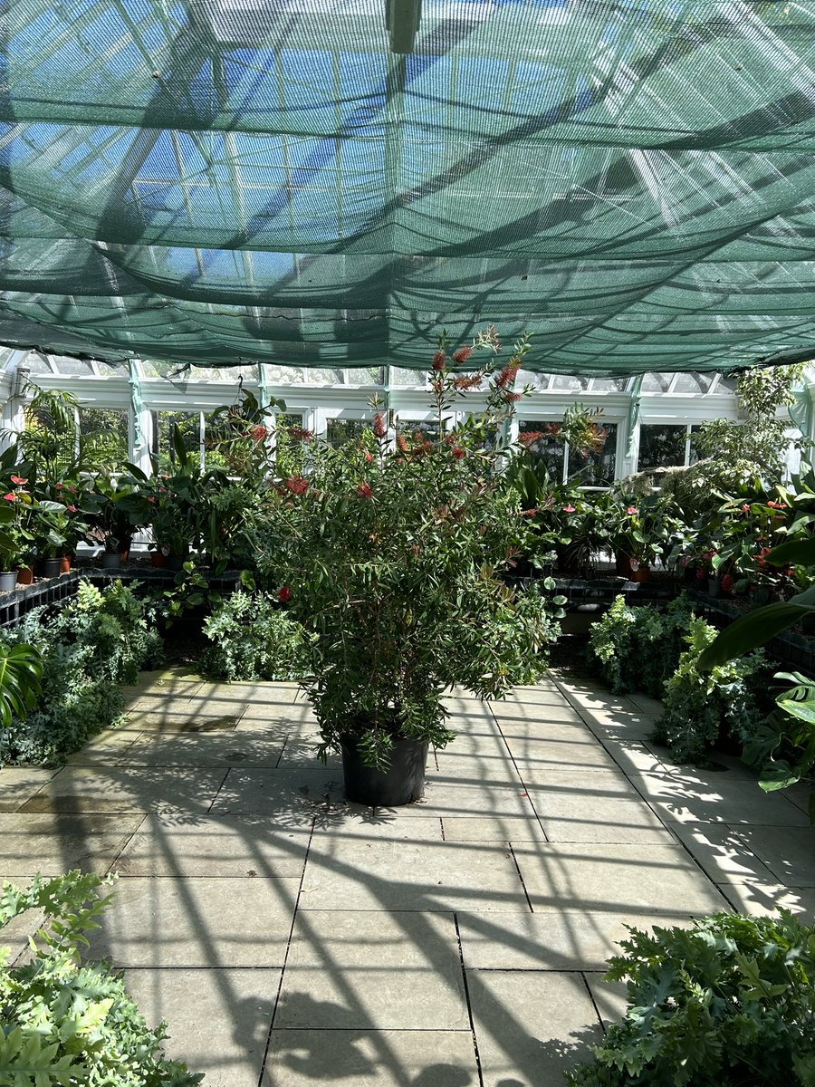 NickNatkinson's tweet photo. Alexandra Park Conservatory looking Glorious today in the sunshine @OldhamCollege @OldhamCouncil https://t.co/7C3a0UVqHC