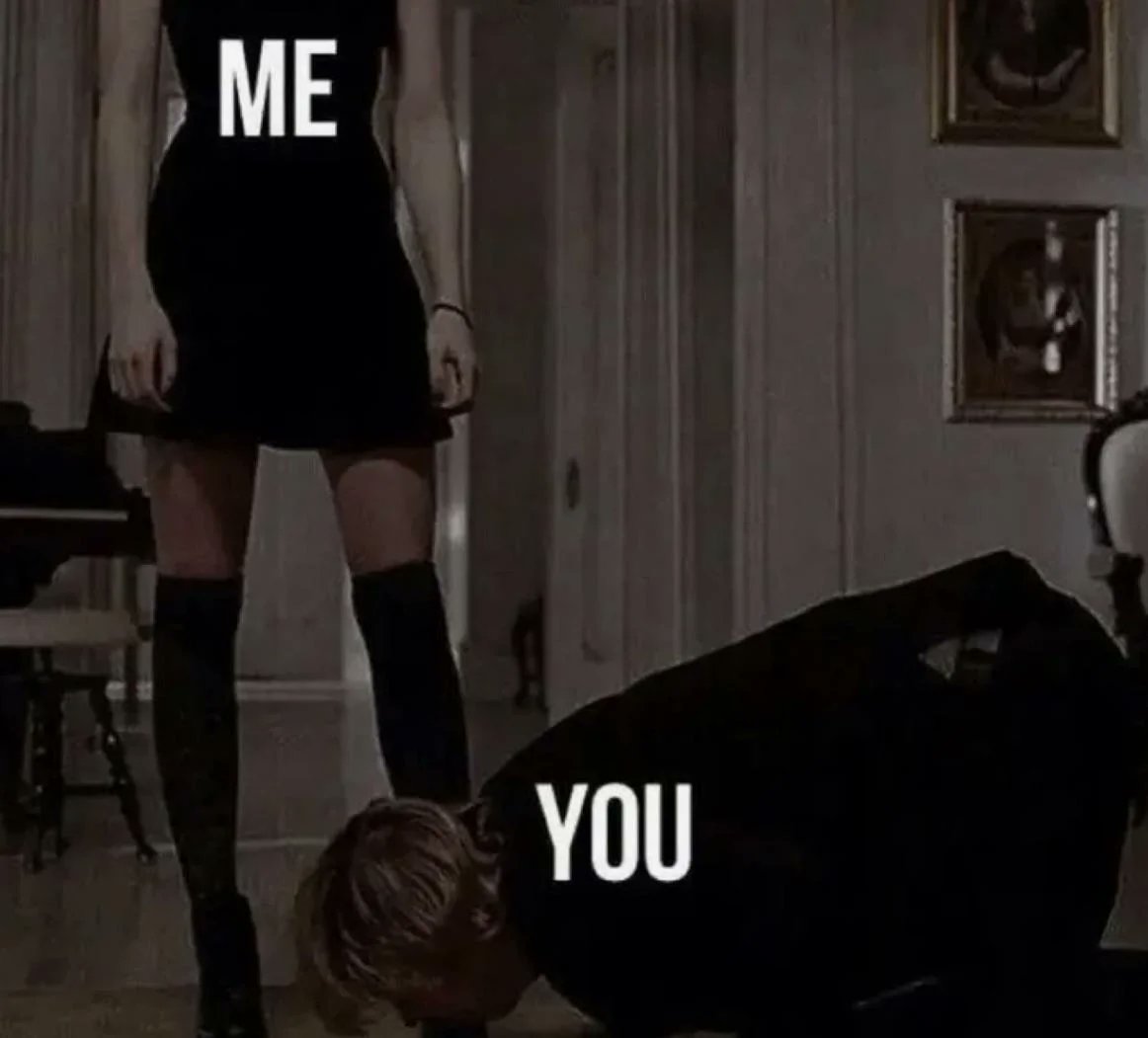 thefindompage's tweet image. 