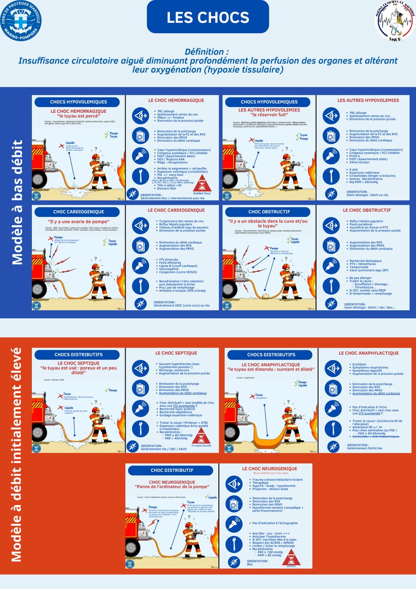 Les chocs, en 1 infographie.
#ChooseMU
#FOAMed