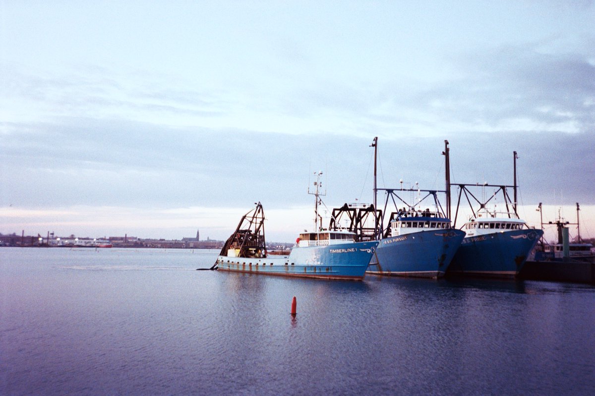 Scallop capital of the US