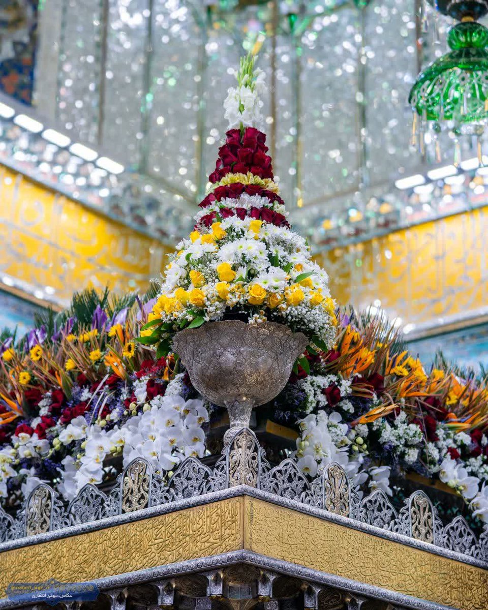 ما چقدر خوشبختیم که تکه‌ای از بهشت خدا بر روی زمین، در #ایران_امام_رضا قسمت‌مان شد #قلب_هشتم