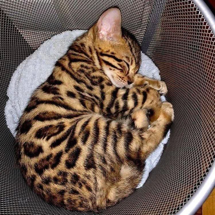 zizela (@novi_zivot) on Twitter photo 