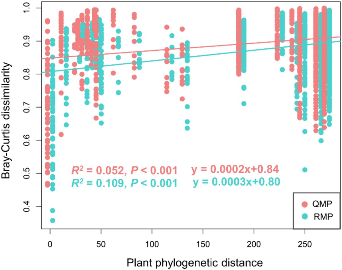 ejsoilscience's tweet image. NEW
Quantitative Microbiome Profiling Facilitates Convenient Detection of Root-Associated Fungi in an Alpine Meadow
Wang et al.
doi.org/10.1111/ejss.7…
@wileyearthspace @SUMjournal @Soil_Science
#Soil #Research