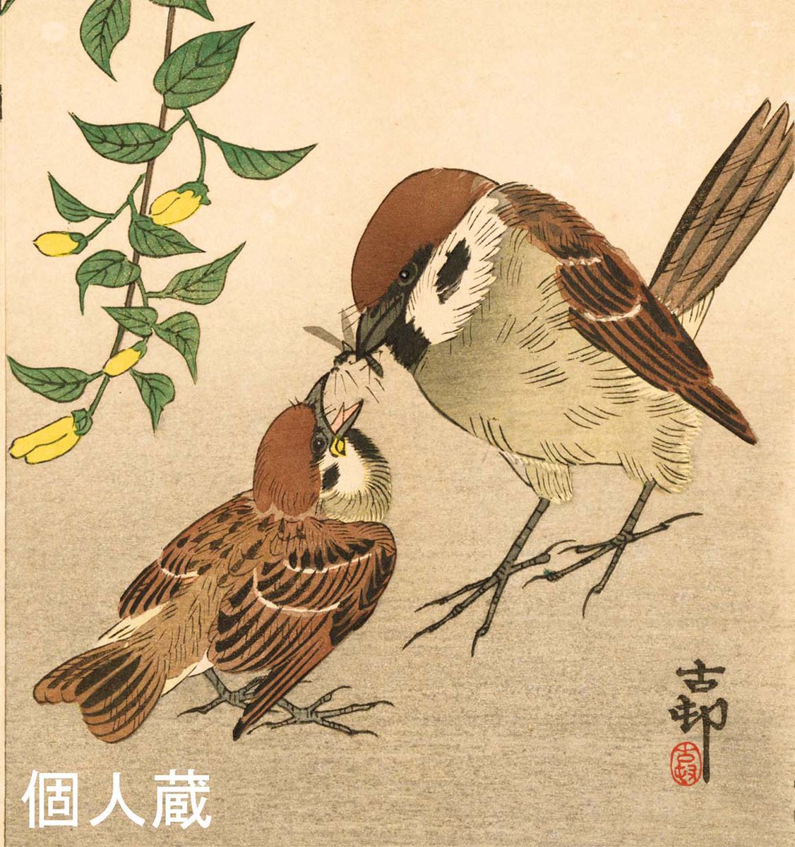 スズメイラスト原画 奈良の風景画（2枚セット）縮小複写　ハガキ スズメイラスト原画 奈良の風景画（2枚セット）縮小複写 ハガキ 楽天