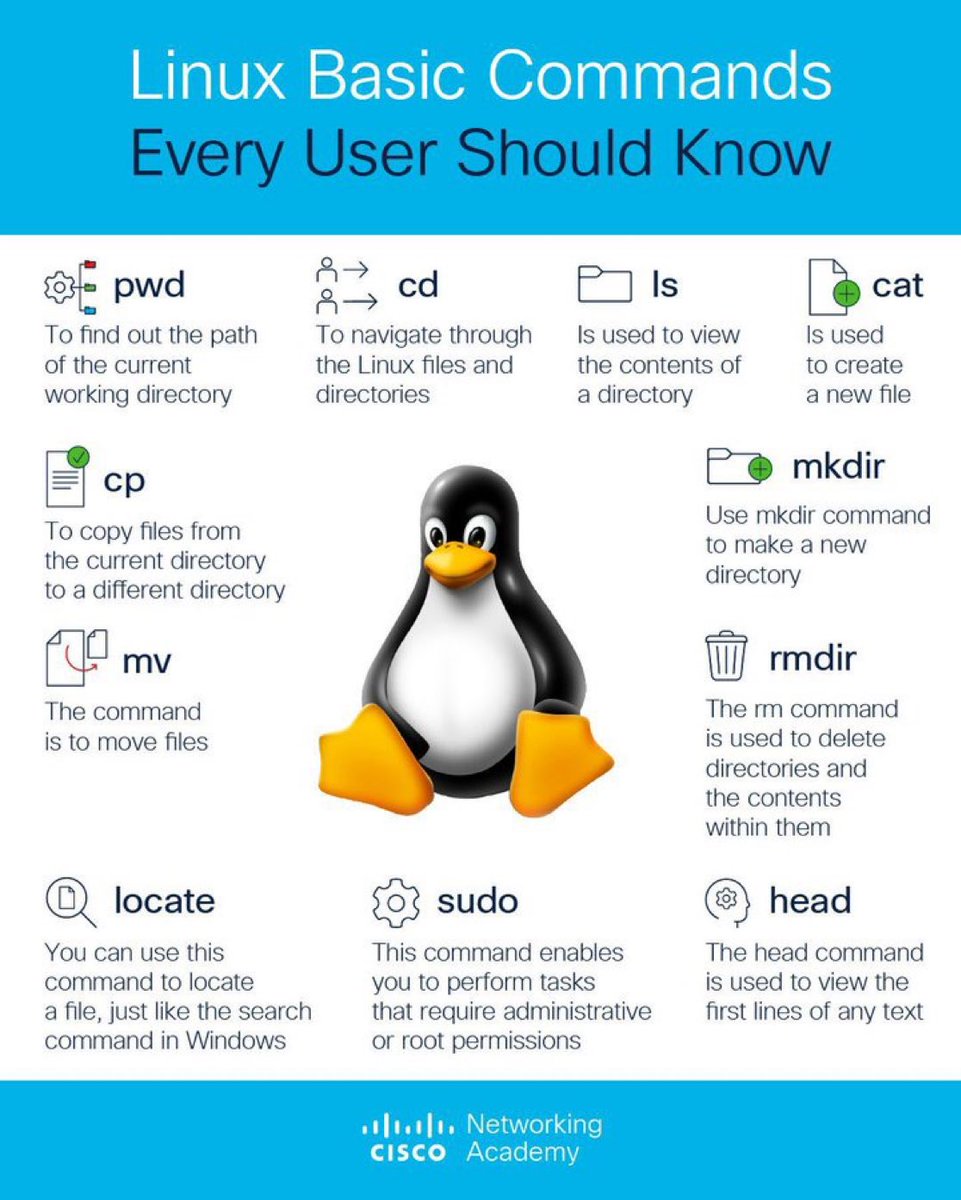 SecurityTrybe's tweet image. Linux Basic Commands 
(Every user should know)