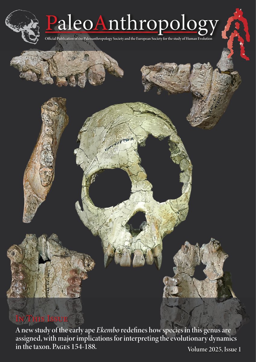 The latest issue of PaleoAnthropology is out now! 
Volume 2025, Issue 1 #openaccess

📖Read Here: paleoanthropology.org/ojs/index.php/…

#paleoanthropology #humanevolution