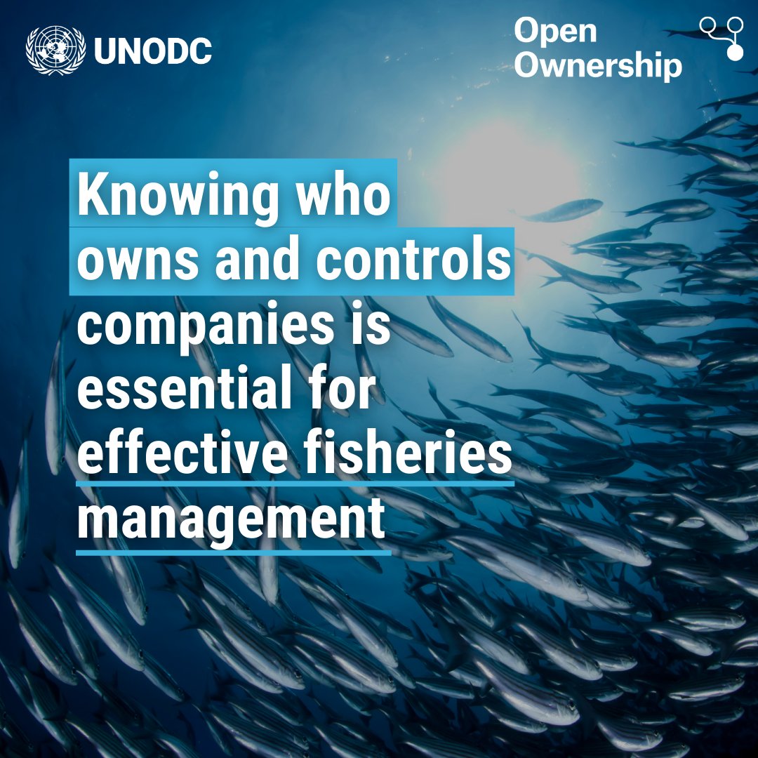 Knowing who truly owns fishing operations helps support #fisheries governance and sustainability. #BeneficialOwnership #transparency is part of the solution. 
Learn more in Open Ownership and <a href="/UNODC/">UN Office on Drugs & Crime</a>'s new brief: openownership.org/en/publication… #fisheries