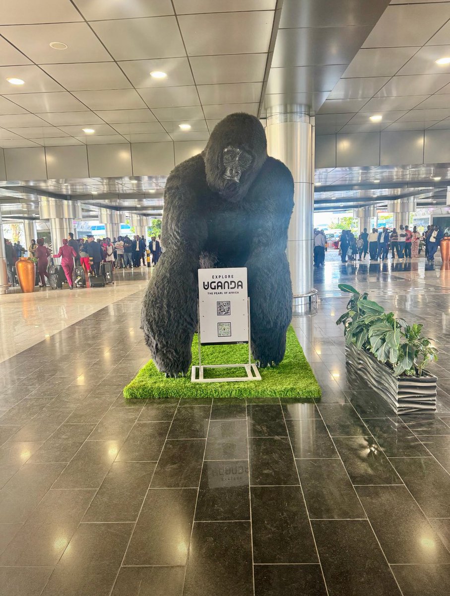 Uncovered Travel Initiative Africa tweet media