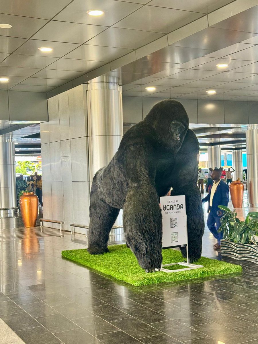 Uncovered Travel Initiative Africa tweet media