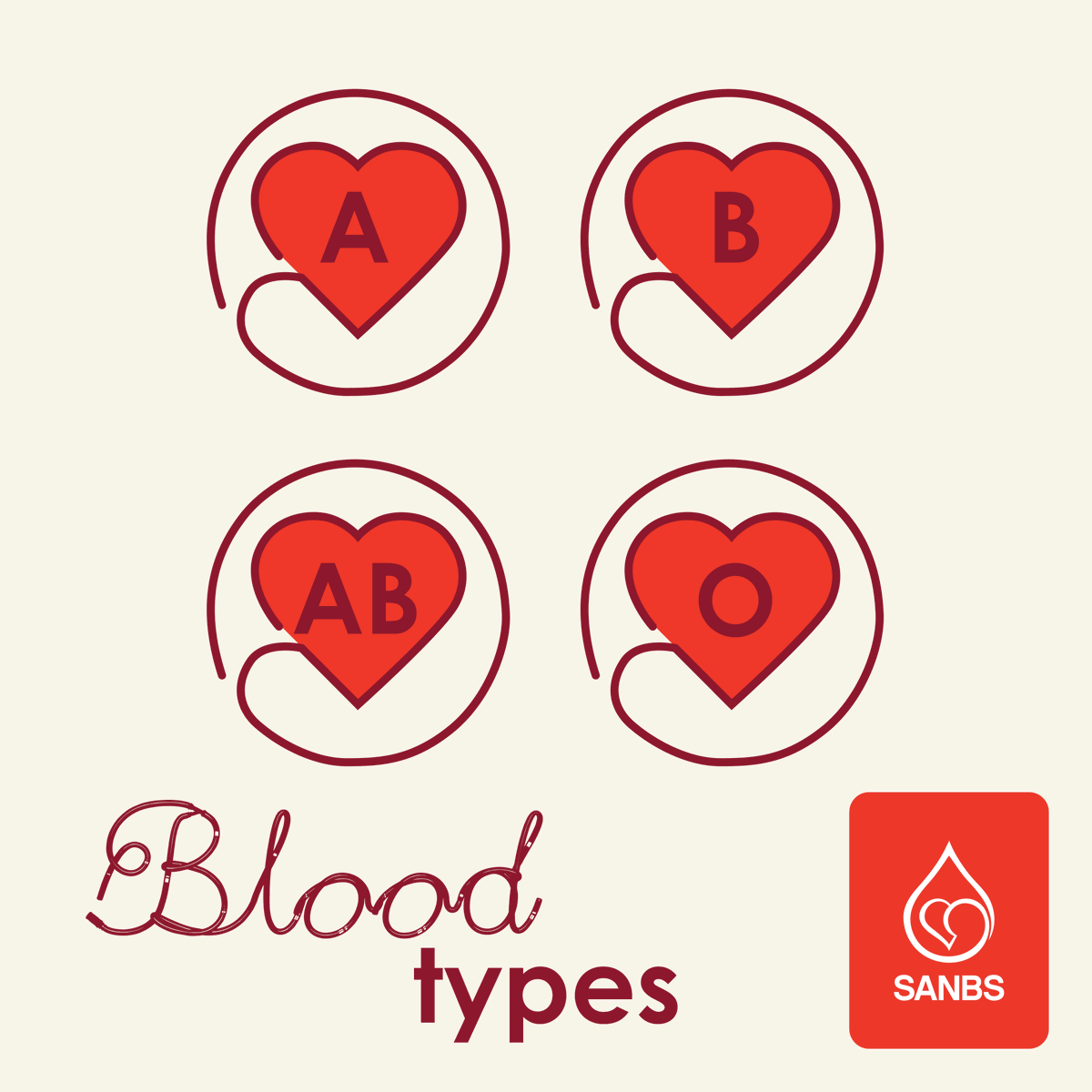 theSANBS's tweet image. Did you know? The two key blood group systems are ABO and Rhesus (Rh). Your ABO type can be A, B, AB, or O and you're either Rh-positive or Rh-negative. Since these systems are inherited separately, that makes eight possible blood types! #BloodType #HealthFacts