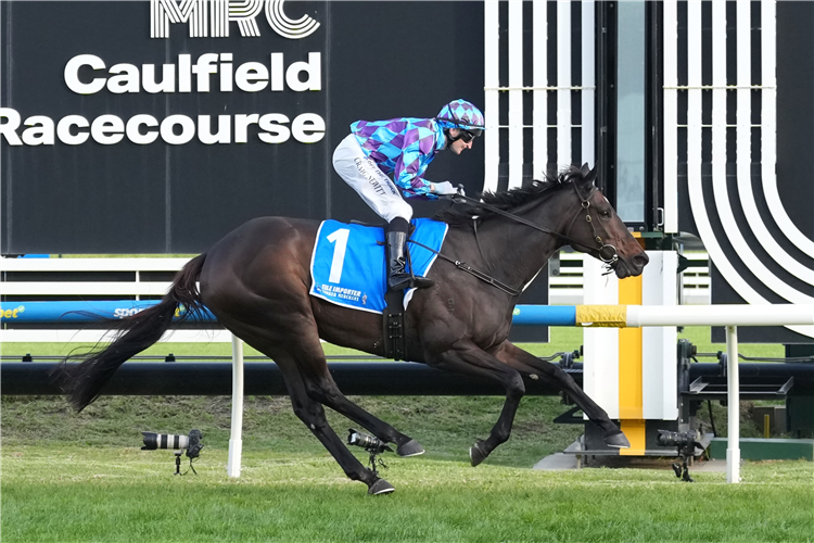R&S Bloodstock (@rs_bloodstock) on Twitter photo The numbers are in an <a href="/TrentC_Racing/">Trent Crebbin ššæ</a> has focussed on the wins of Pride Of Jenni and Femminile in this week's ratings round-up.
racingandsports.com.au/news/racing/in⦠The numbers are in an <a href="/TrentC_Racing/">Trent Crebbin ššæ</a> has focussed on the wins of Pride Of Jenni and Femminile in this week's ratings round-up.
racingandsports.com.au/news/racing/inā¦