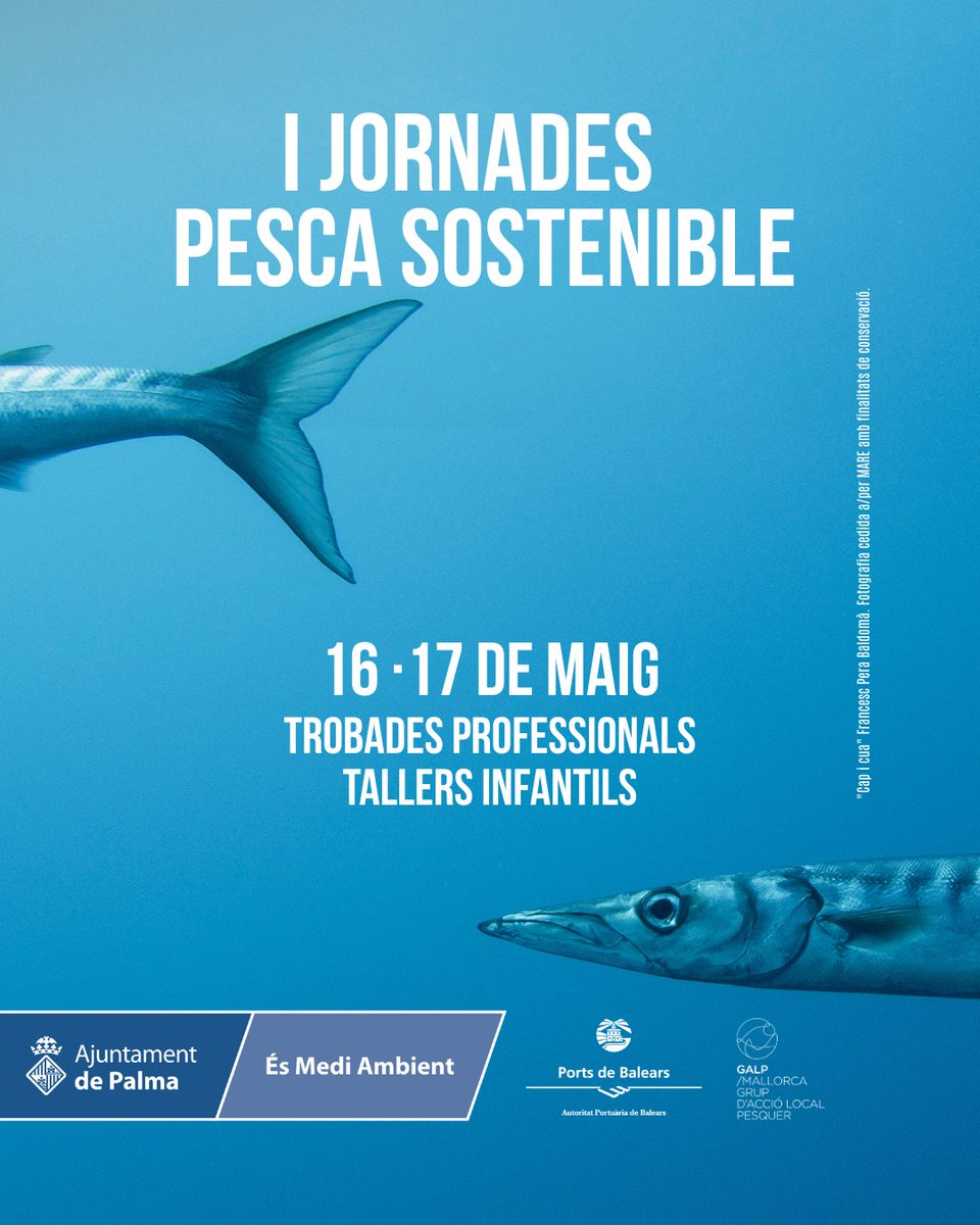 🌊 El #MuseuMarítimdeMallorca participa a les I Jornades de Pesca Sostenible que se celebraran els dies 16 i 17 de maig.

📝Trobareu tota la informació en el següent enllaç:
I Jornadas de Pesca Sostenible – GALP Mallorca