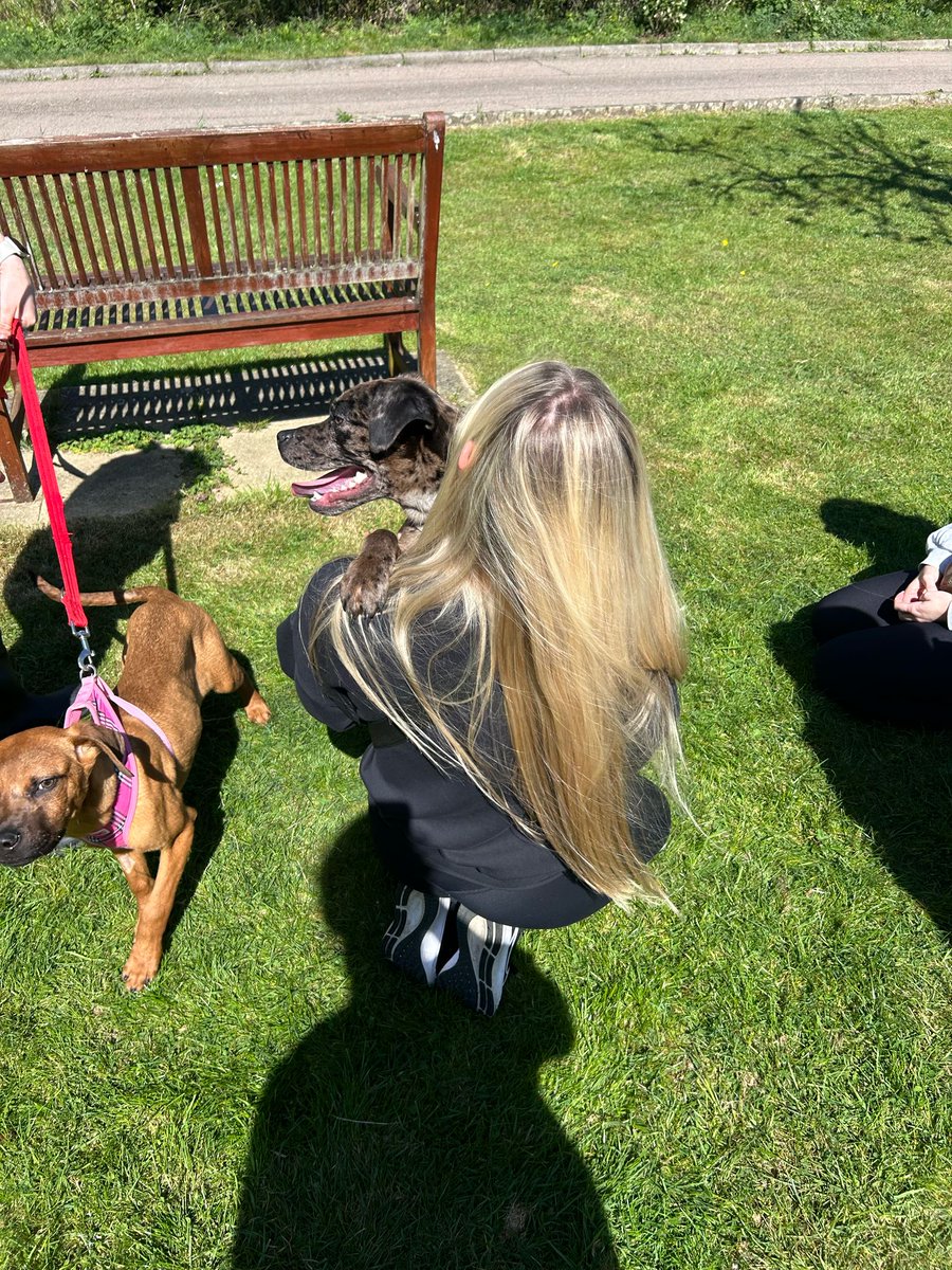 📸 A few highlights from our Land Rights Team's recent volunteering day at RSPCA Danaher Animal Home.

The team spent the morning supporting preparations for Danaher’s upcoming Easter Fair and helped clear out one of the barns in readiness for remodelling work.

#Volunteering