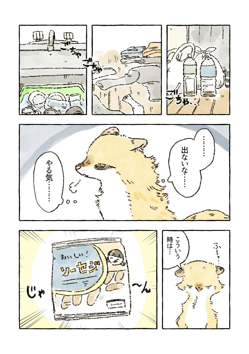 連休最終日の化けイタチ(1/2) 