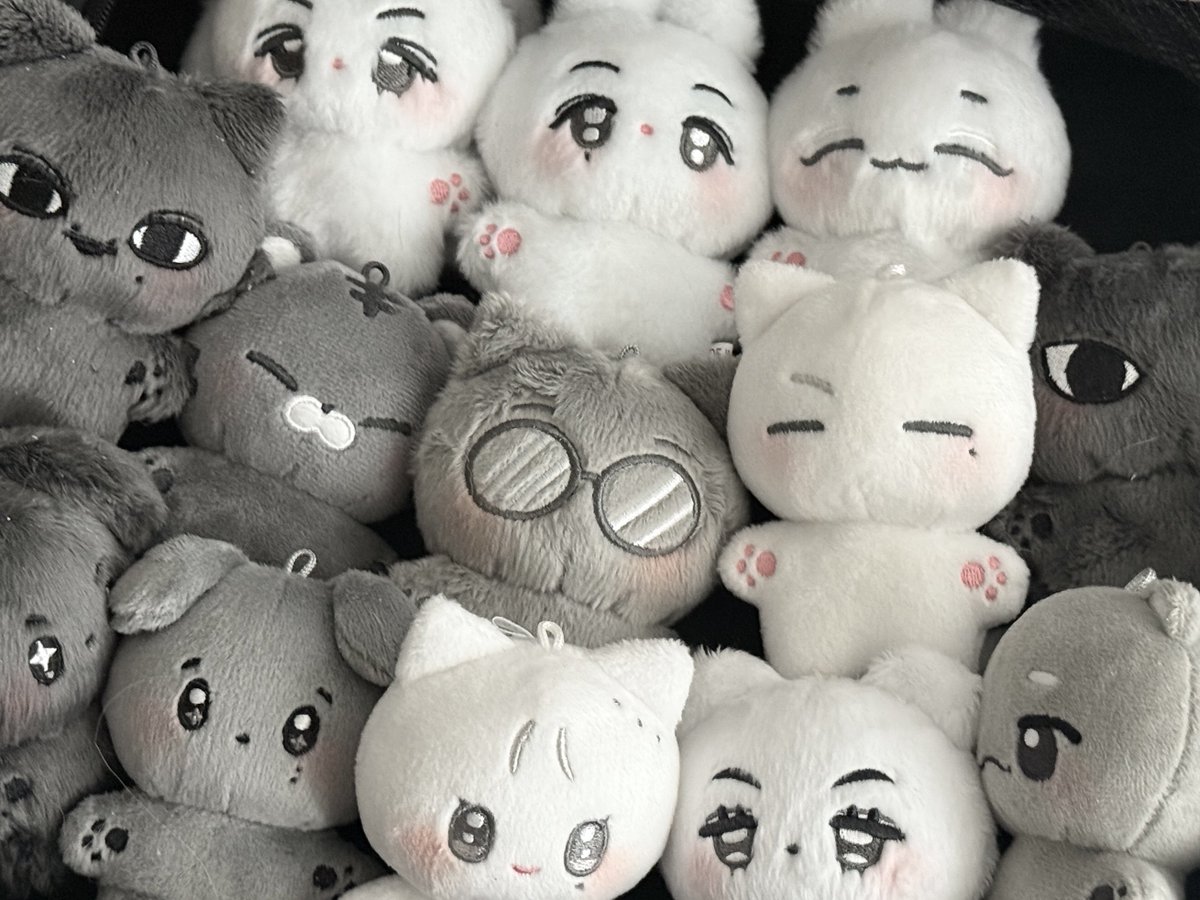 10cm doll 𝑴𝒐𝒏𝒐 𝑻𝒆𝒆𝒏 𝟐
🤍🤍🤍
🖤🖤🩶🤍
🖤🖤🩶
🤍🤍
🩶
𝑪𝒐𝒎𝒊𝒏𝒈 𝒔𝒐𝒐𝒏..

#세븐틴 #SVT #SEVENTEEN #인형 #에스쿱스 #정한 #조슈아 #준 #호시 #원우 #우지 #디에잇 #민규 #도겸 #승관 #버논 #디노 #svtdoll