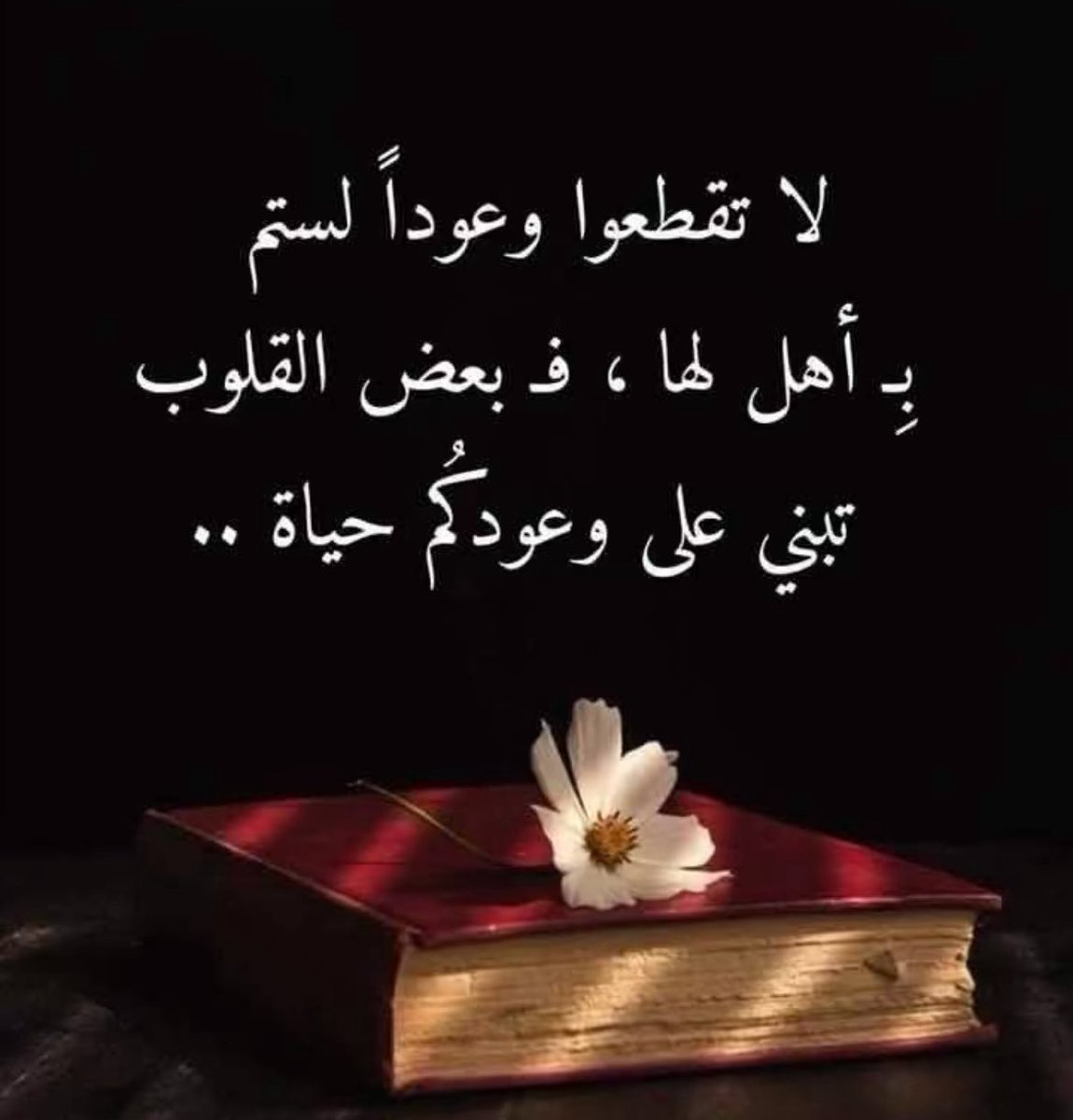 ᴍ࿐ ِ (@1__jo7o) on Twitter photo 