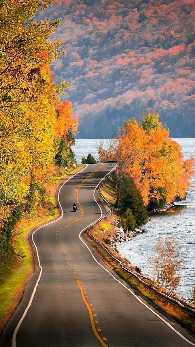 SolsticeSoul9's tweet image. Autumn🍁

#Trump #MetGala2025xFREEN #soonistheredpi