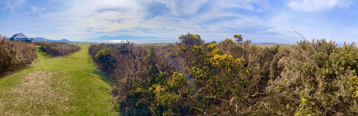 gerry (@gerryelma) on Twitter photo <a href="/DailyPicTheme2/">Daily Picture Theme</a> <a href="/PanoPhotos/">Panoramas 📸📱</a> #Pano from the Medal Tee at the first hole on Bute Golf Course. <a href="/DailyPicTheme2/">Daily Picture Theme</a> <a href="/PanoPhotos/">Panoramas 📸📱</a> #Pano from the Medal Tee at the first hole on Bute Golf Course.