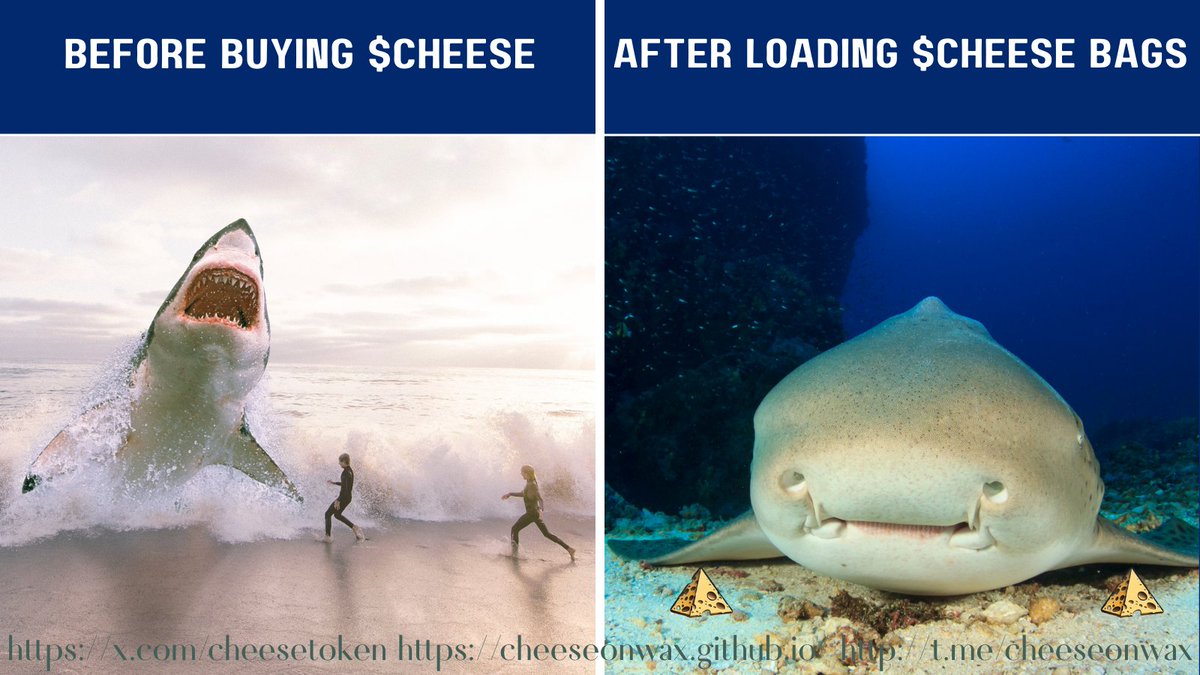 UmeshTechYT's tweet photo. Before $cheese: trading like a shark on a rampage.
After $cheese: chilling like a mellow fish with no worries.
No NFT, no nonsense—just pure fun.
#cheesecoin #crypto #memecoin #WAX #funnycrypto @cheesetoken @WAX_io https://t.co/5LT726Ylt9