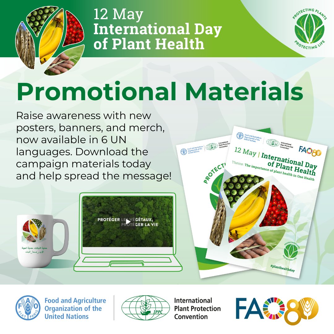 ippcnews's tweet photo. 📢The International Day of Plant Health is on 12 May!

Raise awareness with new digital designs, posters, banners & merch (totes, tees, caps) now available in 6 UN languages! 🌍🌾

📥 Download here: https://t.co/b4wZdq5xTK
Learn more: https://t.co/ScGWTRtnMo

#PlantHealthDay🌱 #OneHealth