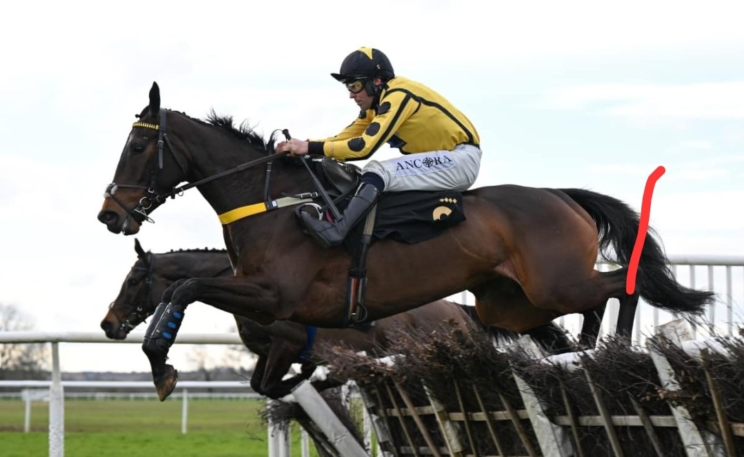 2025 in Review.

🟡⚫️ Lexie's Moon R4 W1 P1

An easy win at Stratford with Kevin Brogan in October. A few niggles put her on the back foot for the season but returned with credit at Huntingdon. Her astute owners looking forward to next season.

🌐 laurahorsfallracing.com