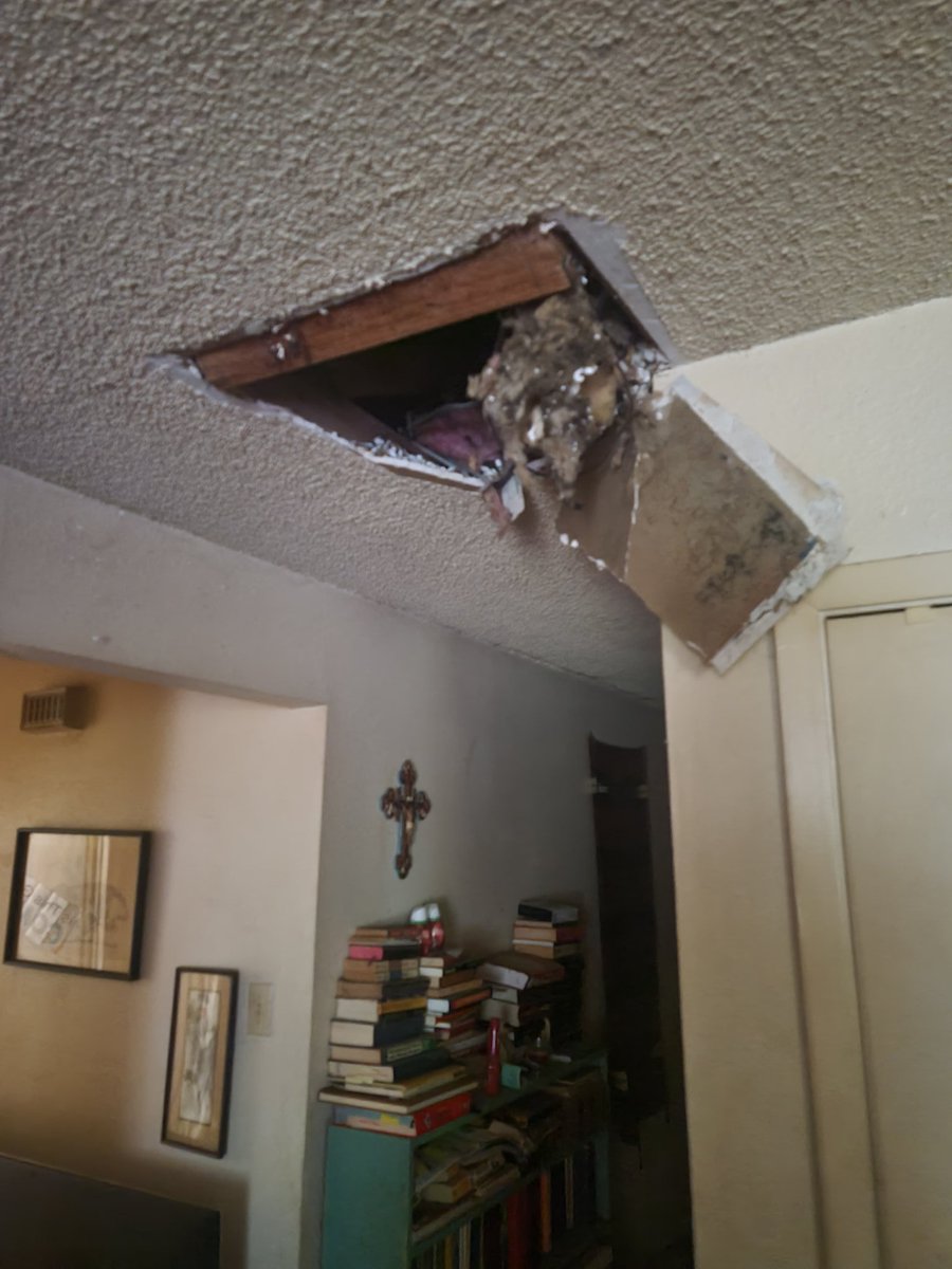 Dexerto's tweet image. Twitch streamer Asmongold fell through his ceiling while searching his attic for the source of a foul odor, believed to be a dead animal