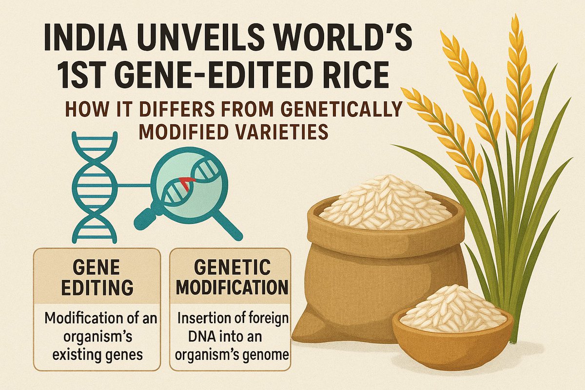 newsnubra's tweet image. mountaintechno.blogspot.com/2025/05/India%… India Unveils World&apos;s First Gene-Edited Rice | Difference from GMOs Explained. #GeneEditedRice #CRISPRTechnology
#SustainableFarming #AgriInnovation #IndiaBiotechRevolution